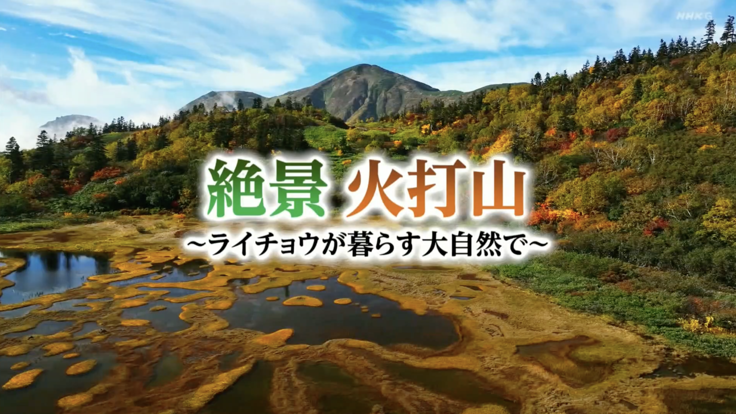NHK 金よう夜きらっと新潟