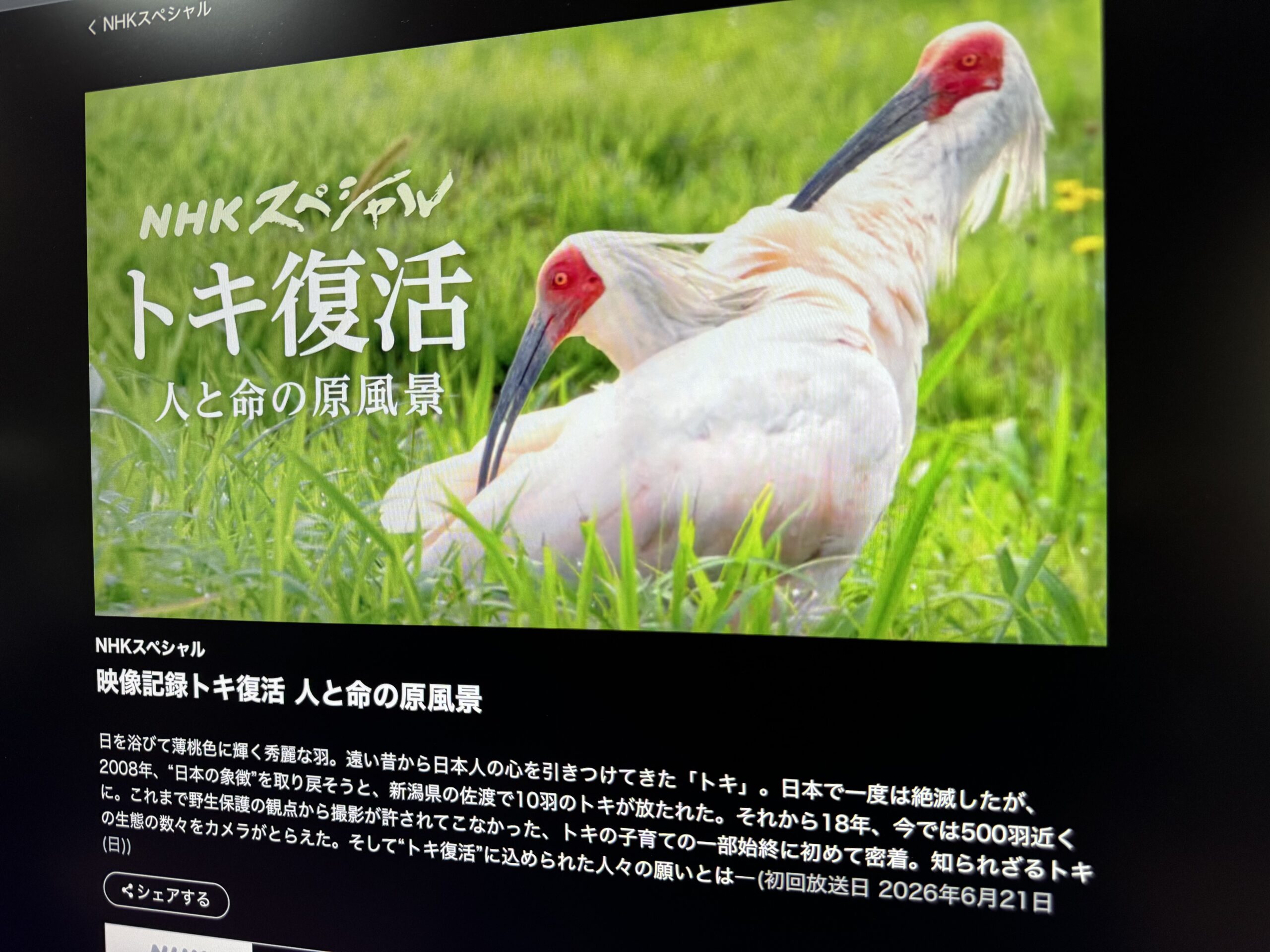 NHKスペシャル「映像記録トキ復活 人と命の原風景」