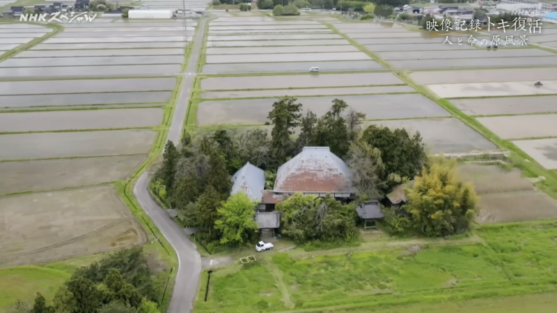 NHKスペシャル「映像記録トキ復活 人と命の原風景」